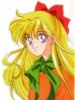 Pretty soldier sailor moon - Im084.JPG