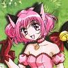 Tokyo mew mew - Im024.JPG