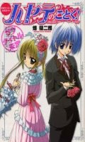 Hayate no Gotoku - Guide Book