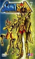 Les Chevaliers du Zodiaque - Saint Seiya Vol.7