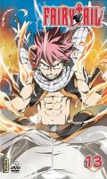 Fairy Tail Vol.13