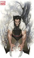 Wolverine (v4) T.1 - collector