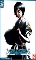 Bleach - collector Vol.29