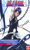 Bleach - saison 5 - Vol.2