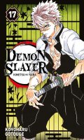 Demon slayer T.17