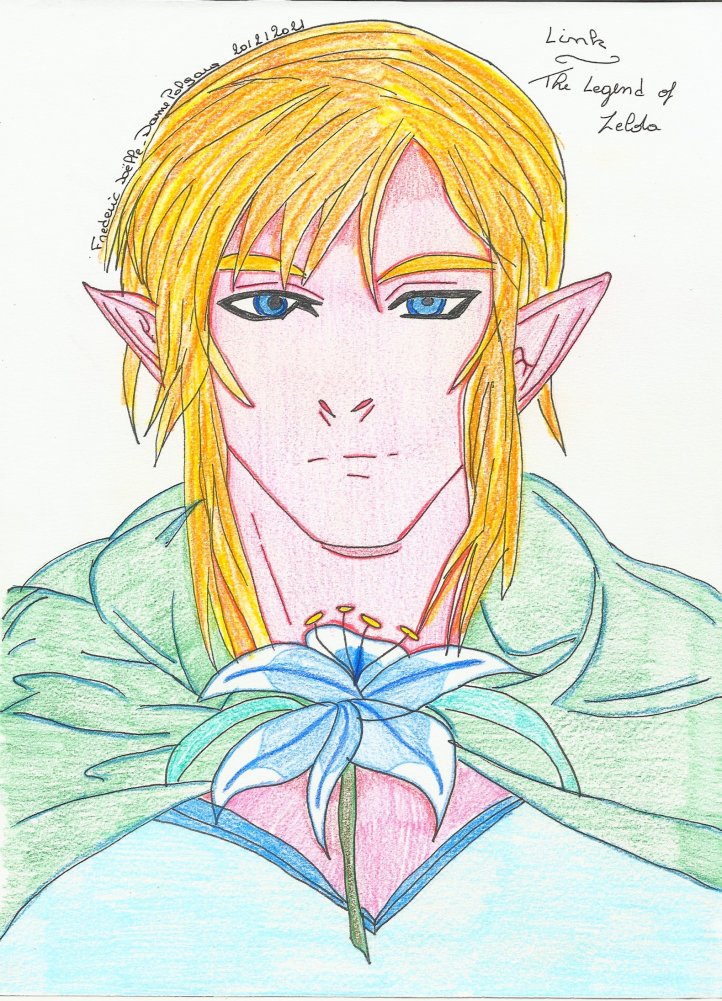 The Legend of Zelda - Link 06